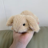 Little Cream – Floppy Ears