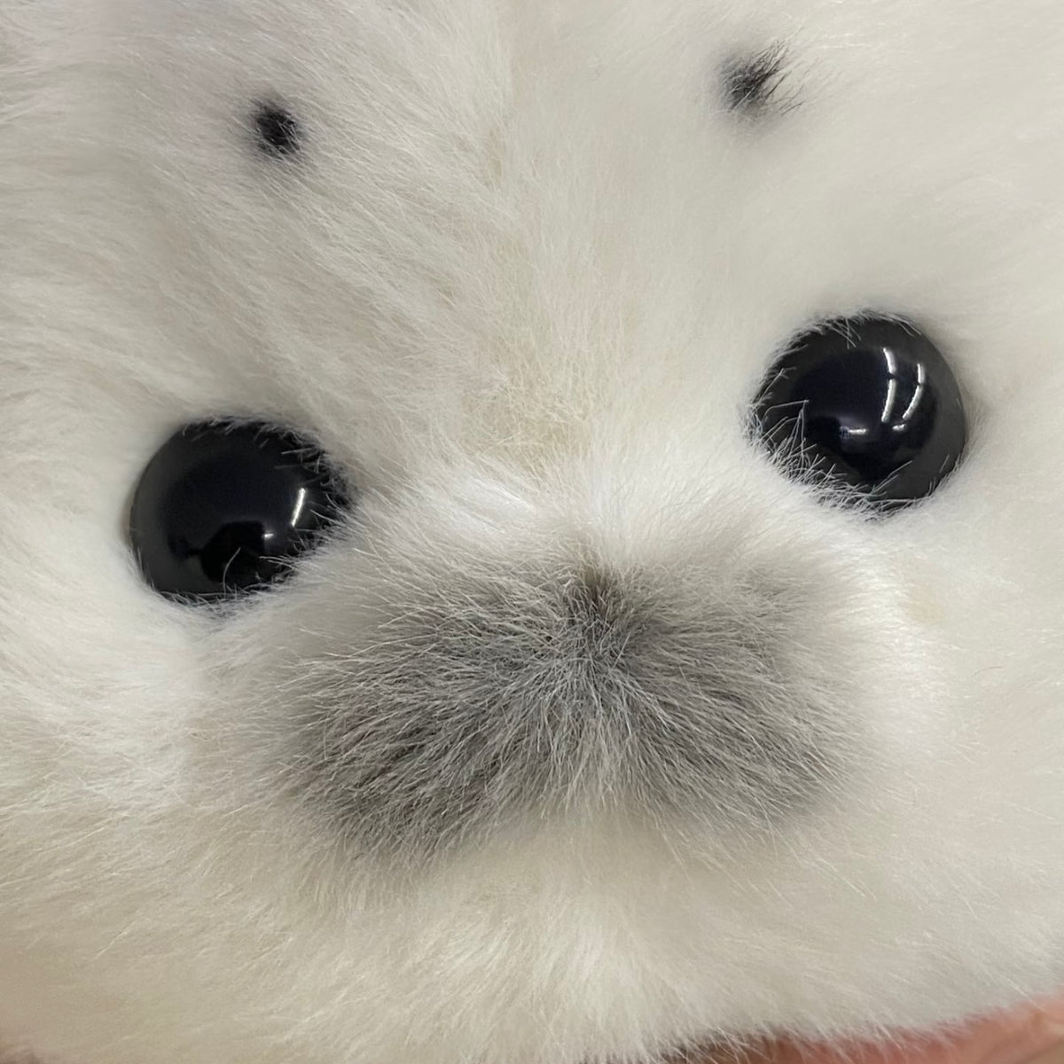 Bibi the Original Handmade Round Seal Plushie