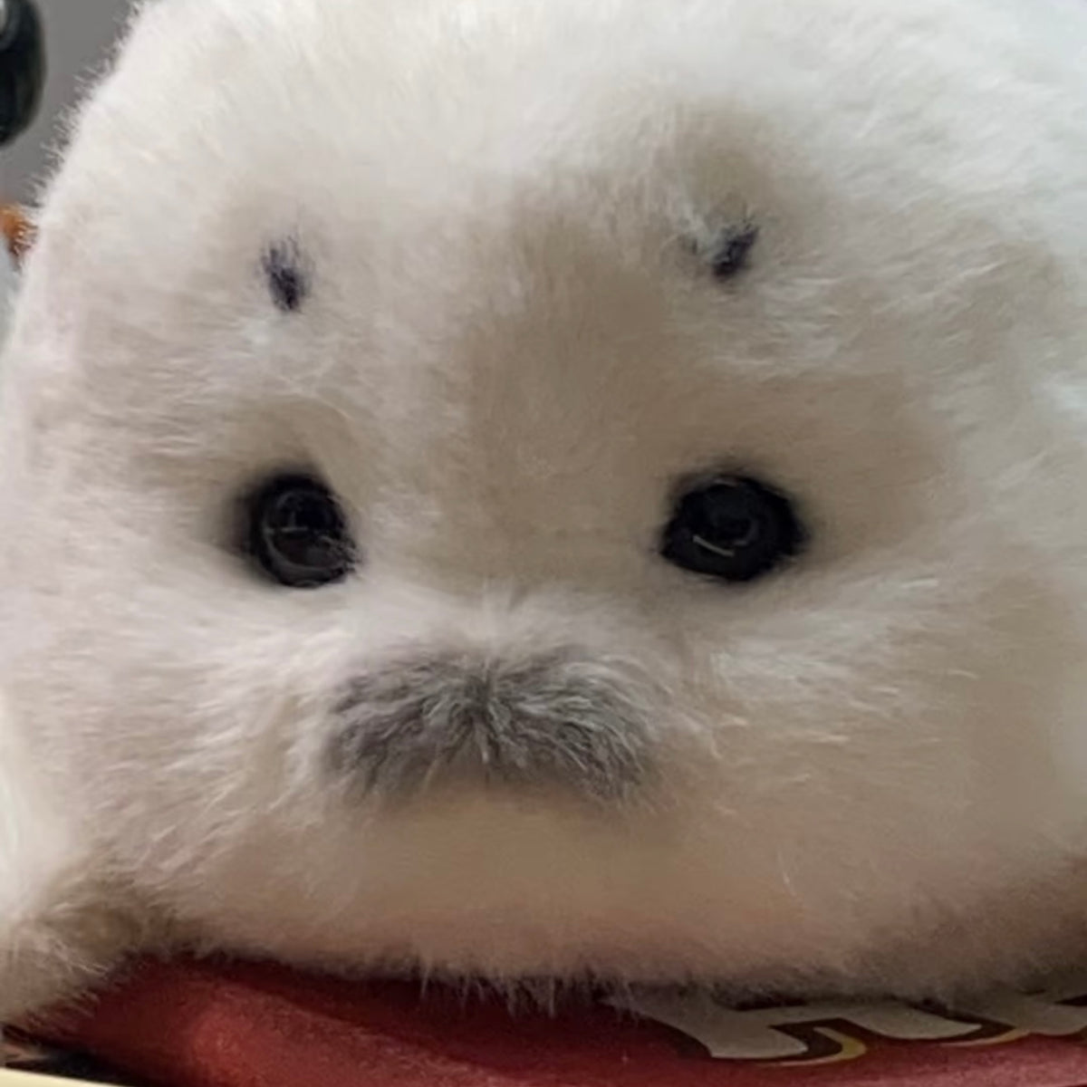 Bibi the Original Handmade Round Seal Plushie