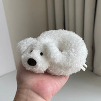 Bichon Frise