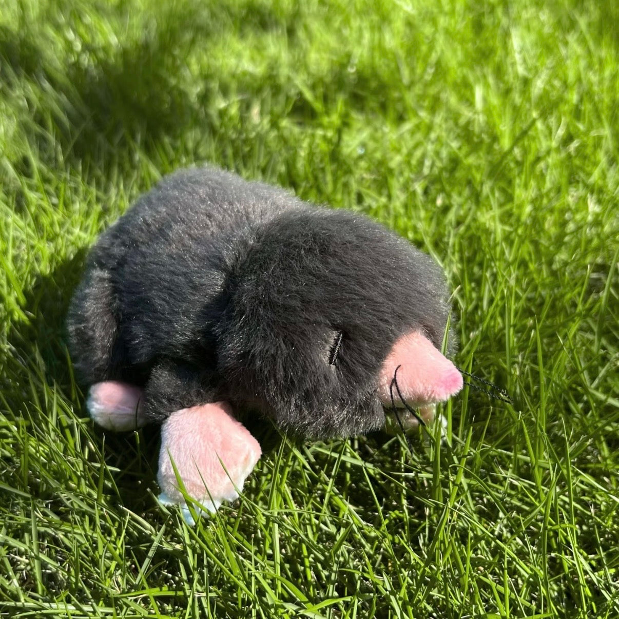Toby the Handmade Mole Plushie