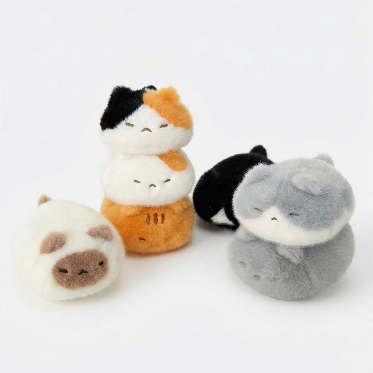 Miso the Mini Floppy Cat Plushie (18 cm)