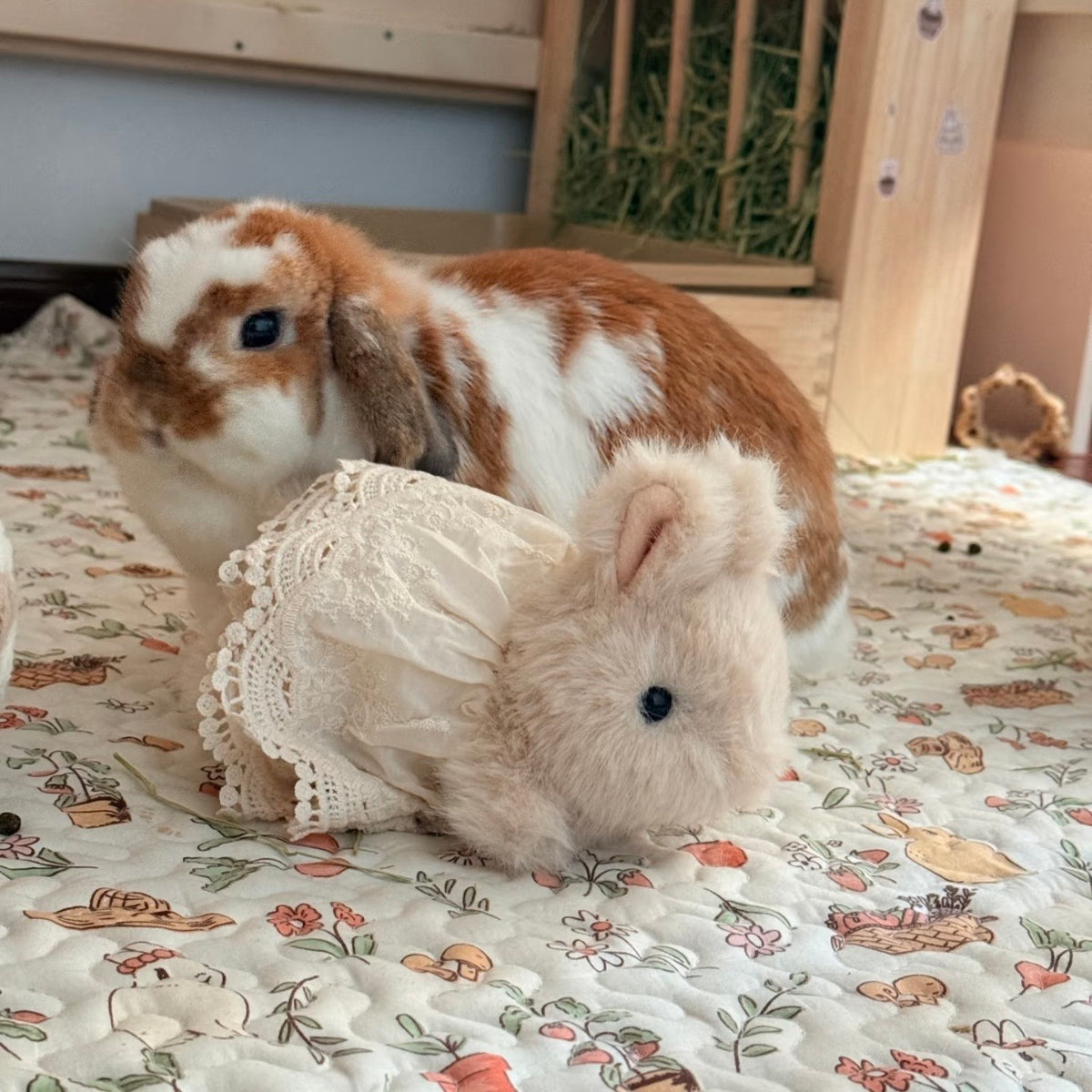 Tilly the Handmade Bunny Plushie