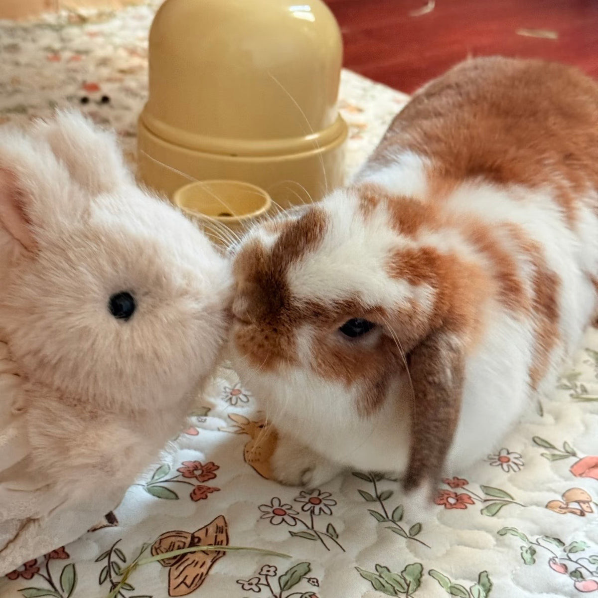 Tilly the Handmade Bunny Plushie