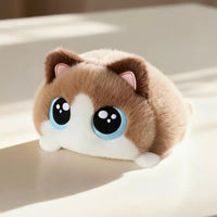 Ragdoll Cat