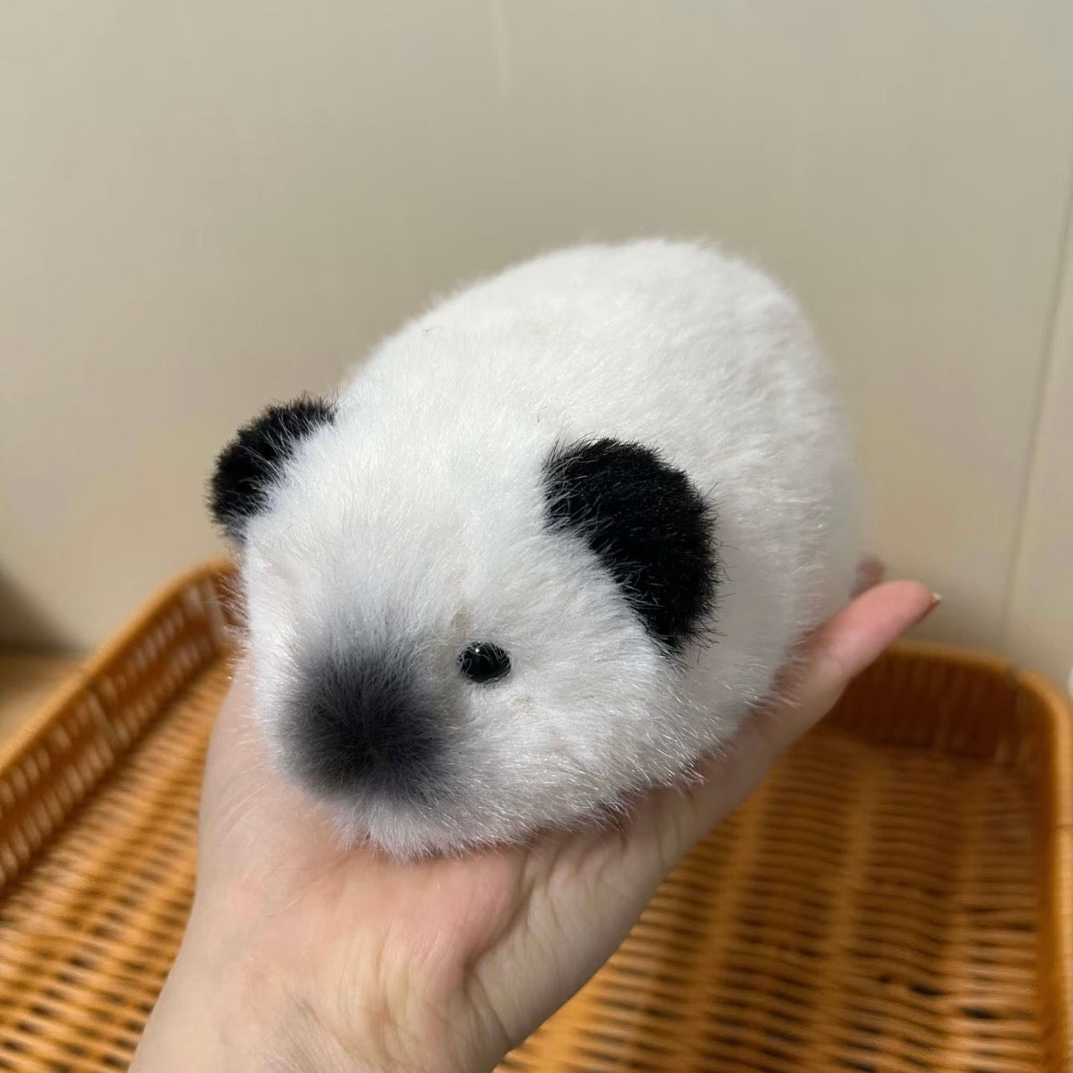 Biscuit the Chubby Guinea Pig Plushie