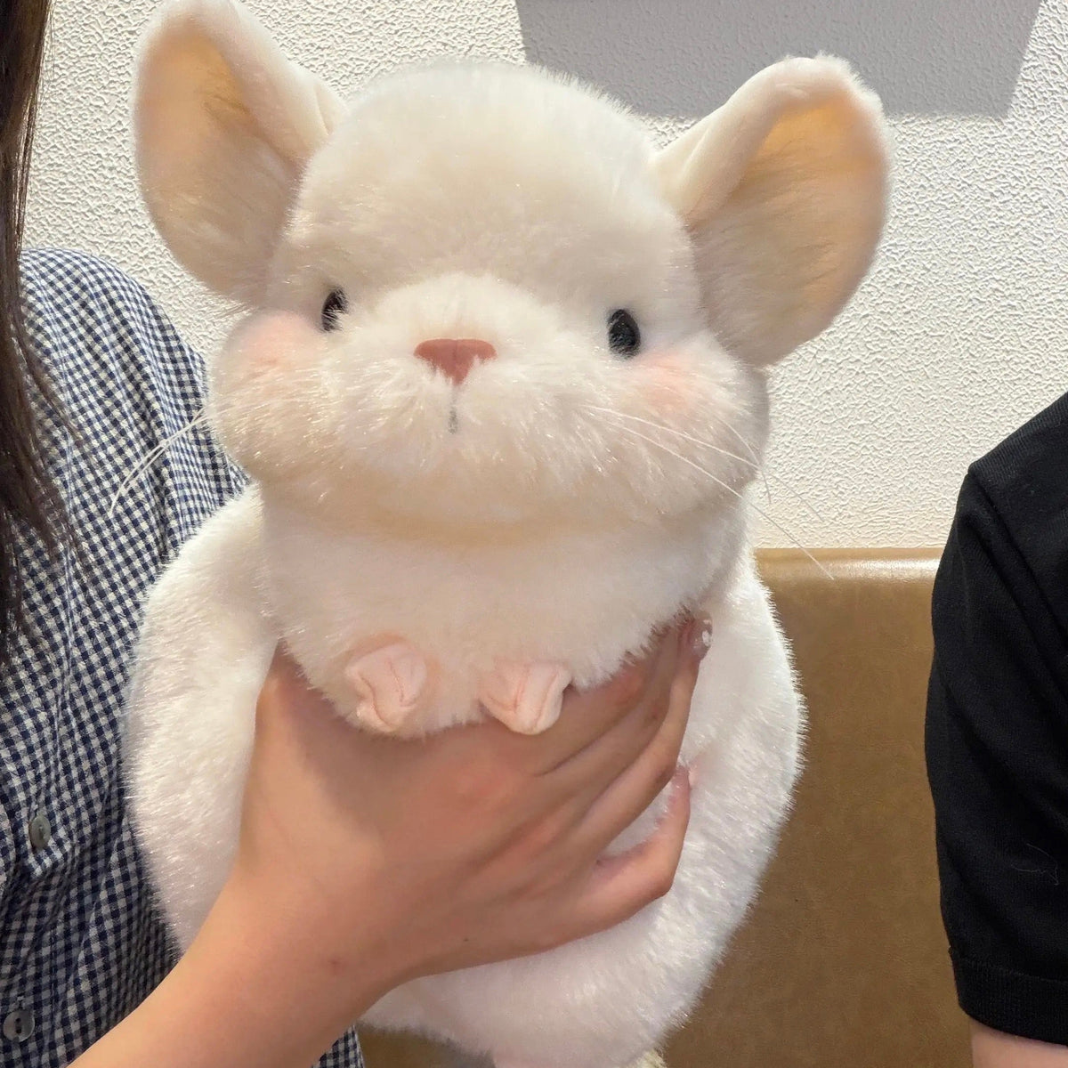 Taro the Fluffy Chinchilla Plushie