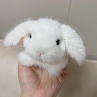 Snow Mochi - Floppy Ears