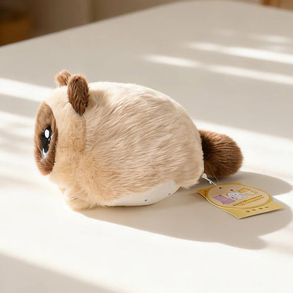 Pippa the Round Chubby Cat Plushie