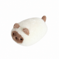 Coffee Bean