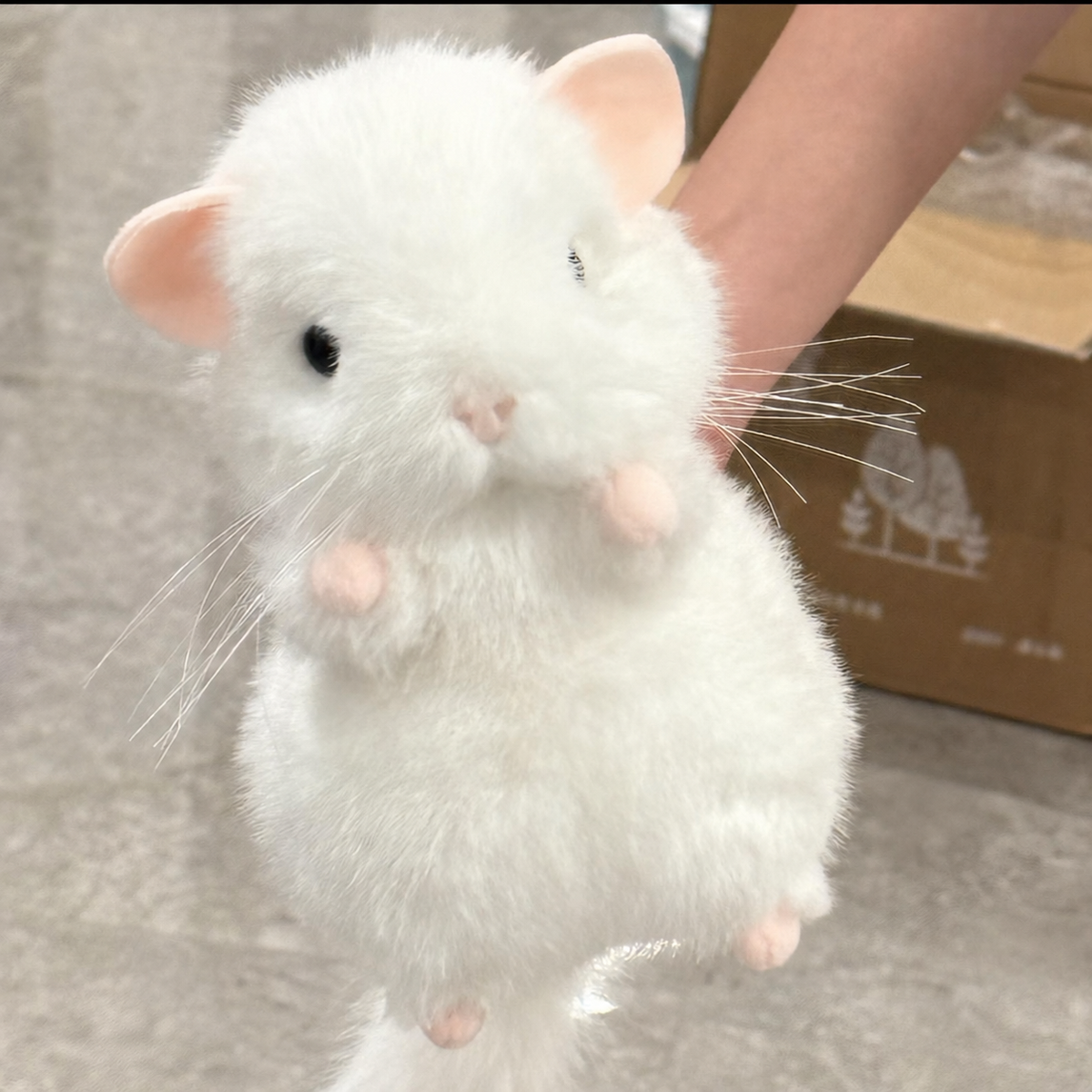Toto the Chubby Chinchilla Plushie