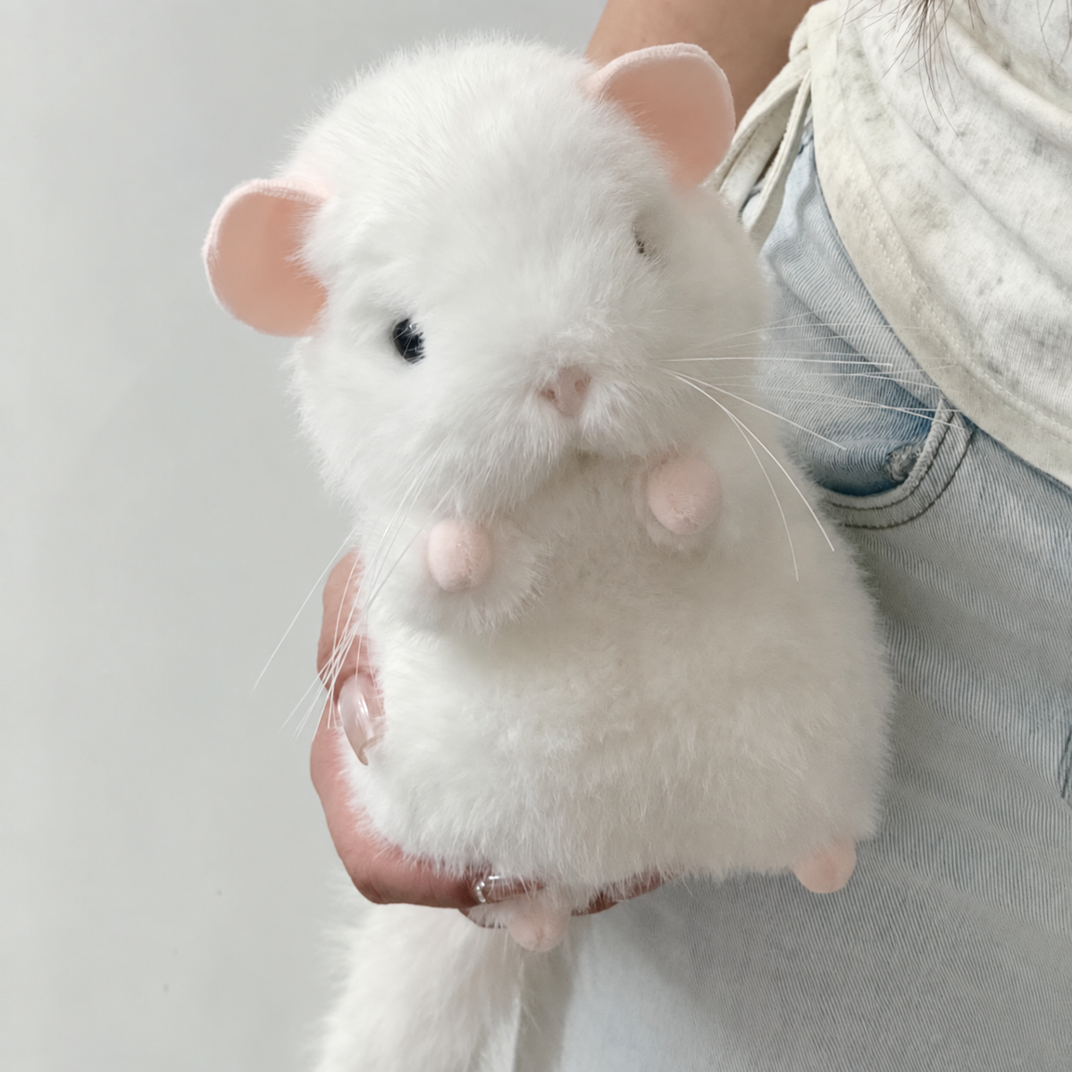 Toto the Chubby Chinchilla Plushie