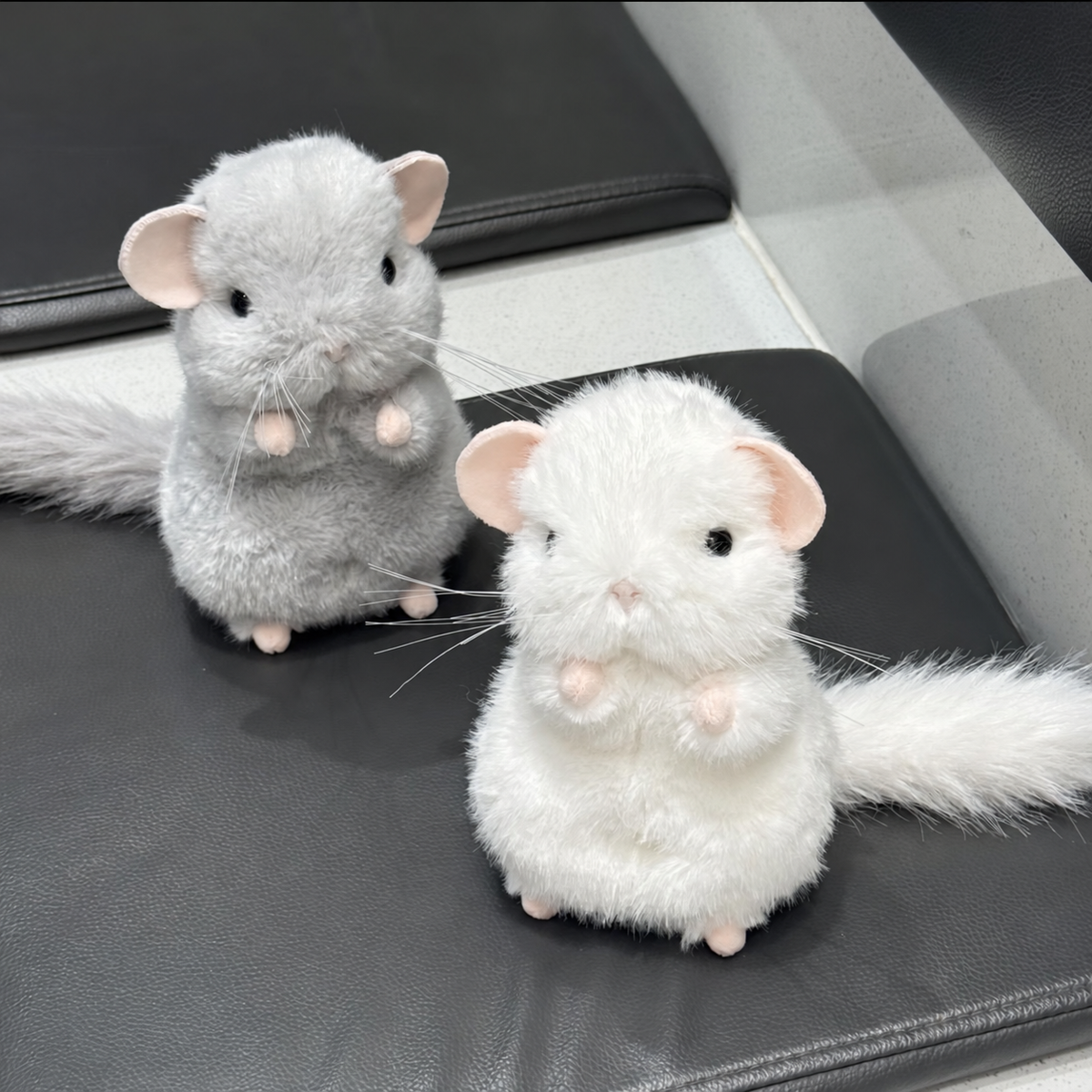 Toto the Chubby Chinchilla Plushie