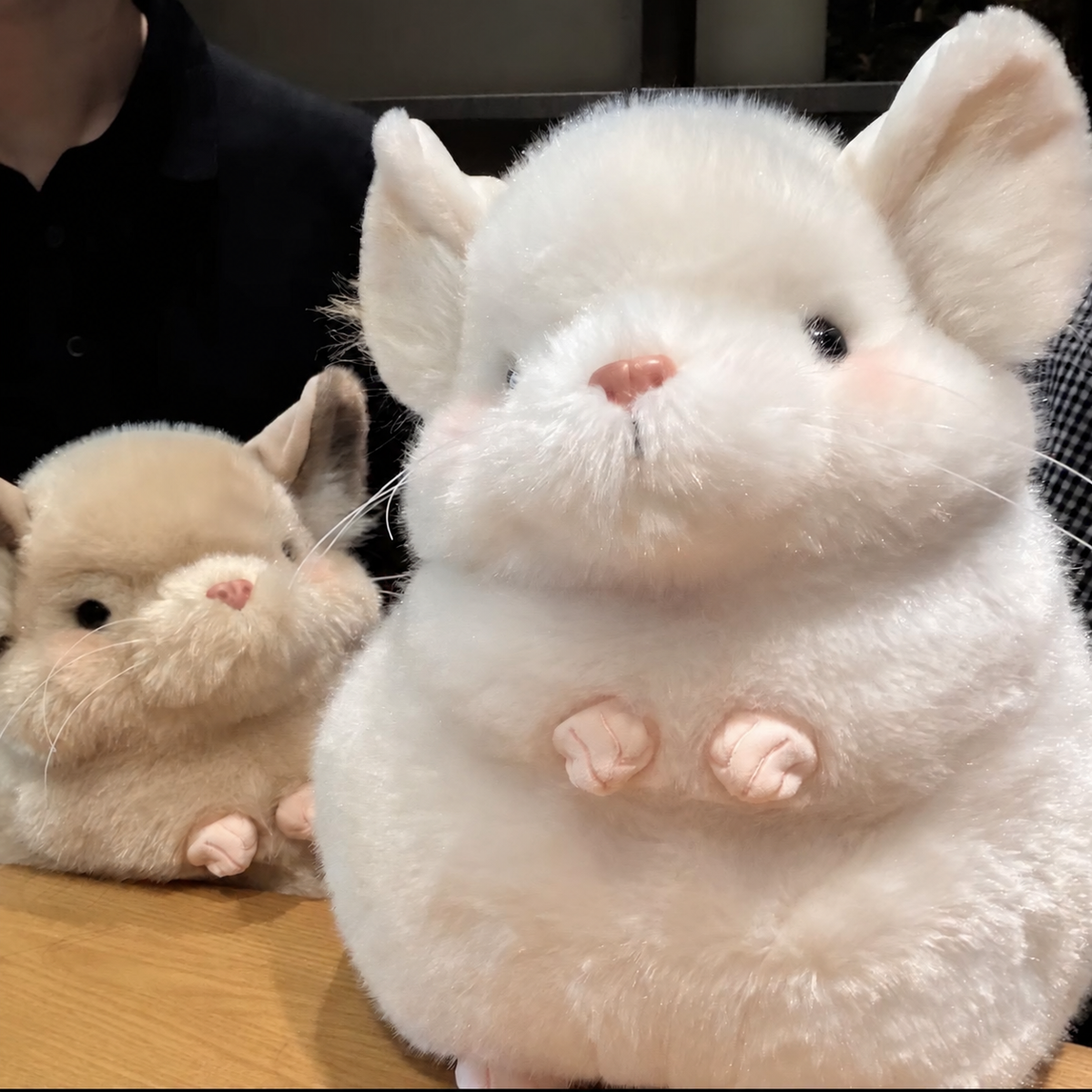 Taro the Fluffy Chinchilla Plushie