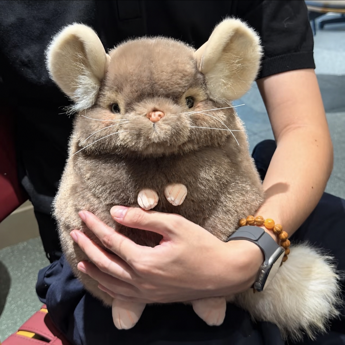 Taro the Fluffy Chinchilla Plushie