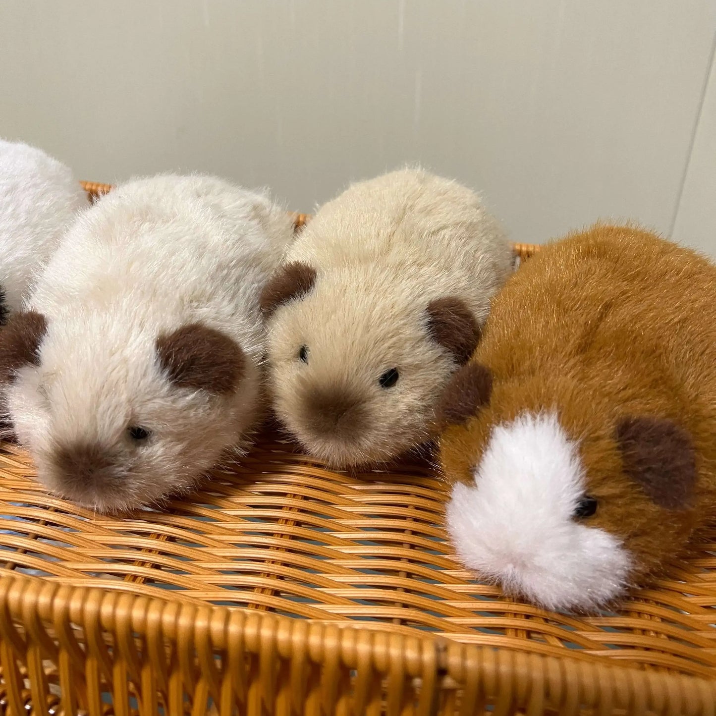 Biscuit the Chubby Guinea Pig Plushie