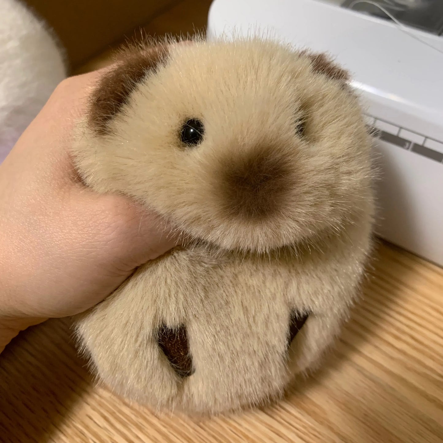Biscuit the Chubby Guinea Pig Plushie